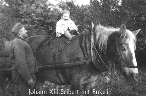 Johann mit Beate auf Pferd